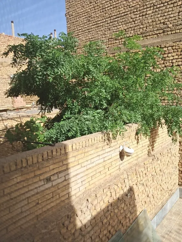 اجاره منزل