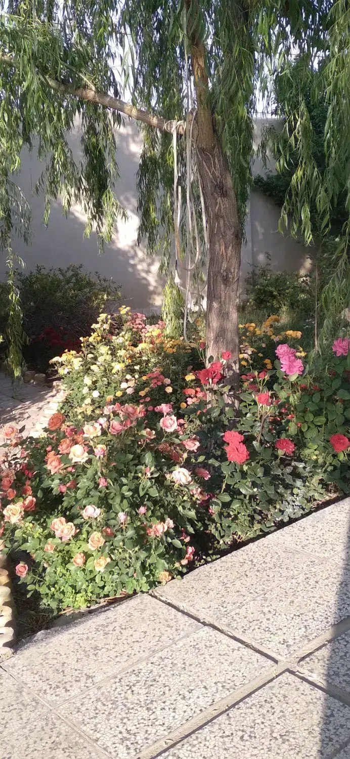 باغچه ۶۰۰ متری شاهنامه ۱۸