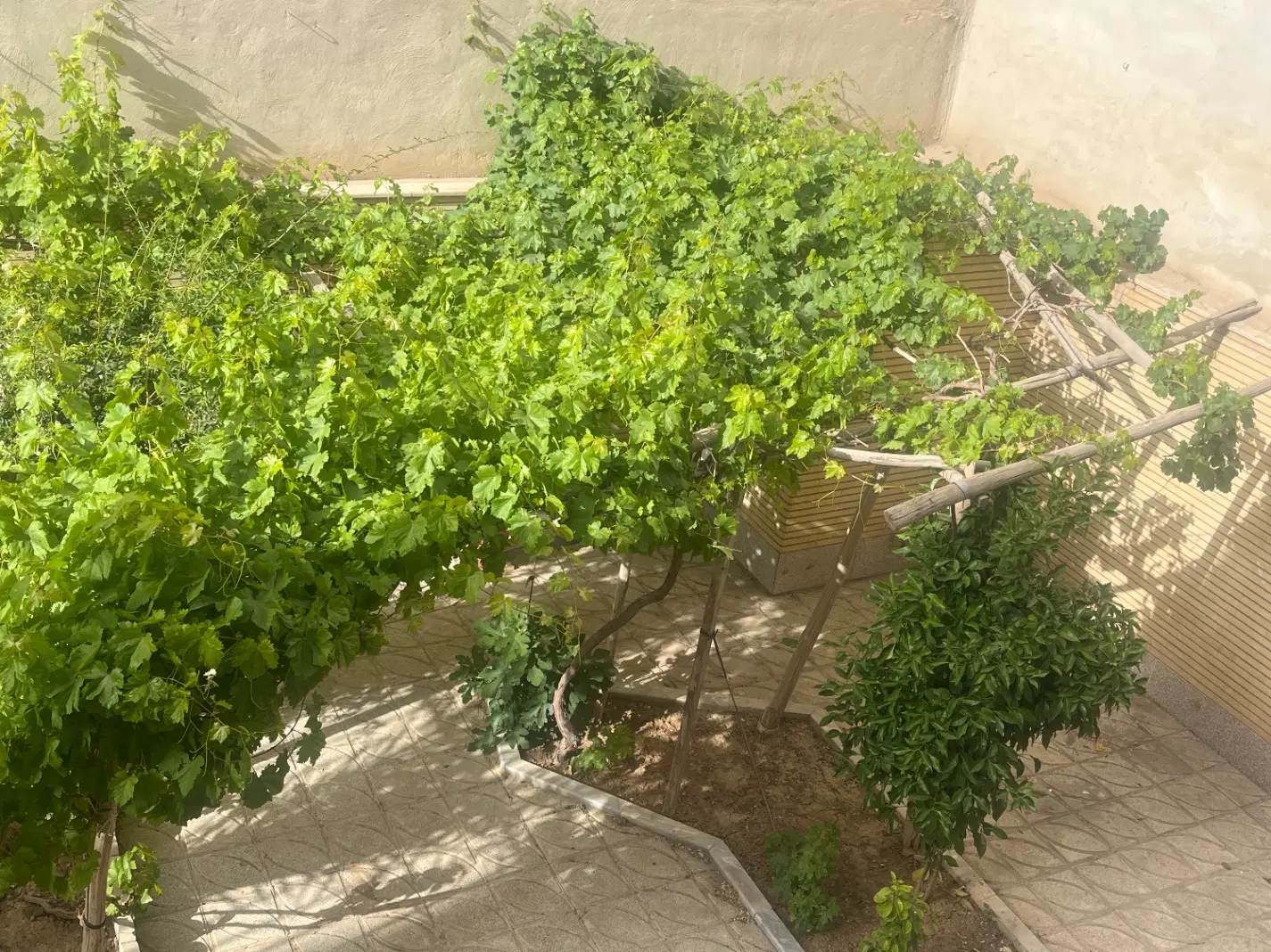 رهن و اجاره ۲ خواب حیات اختصاصی