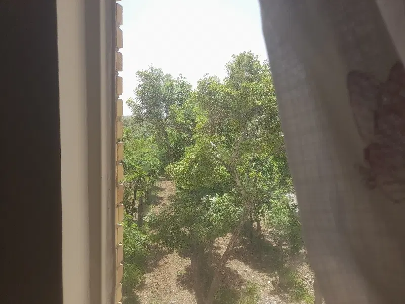 بهاران