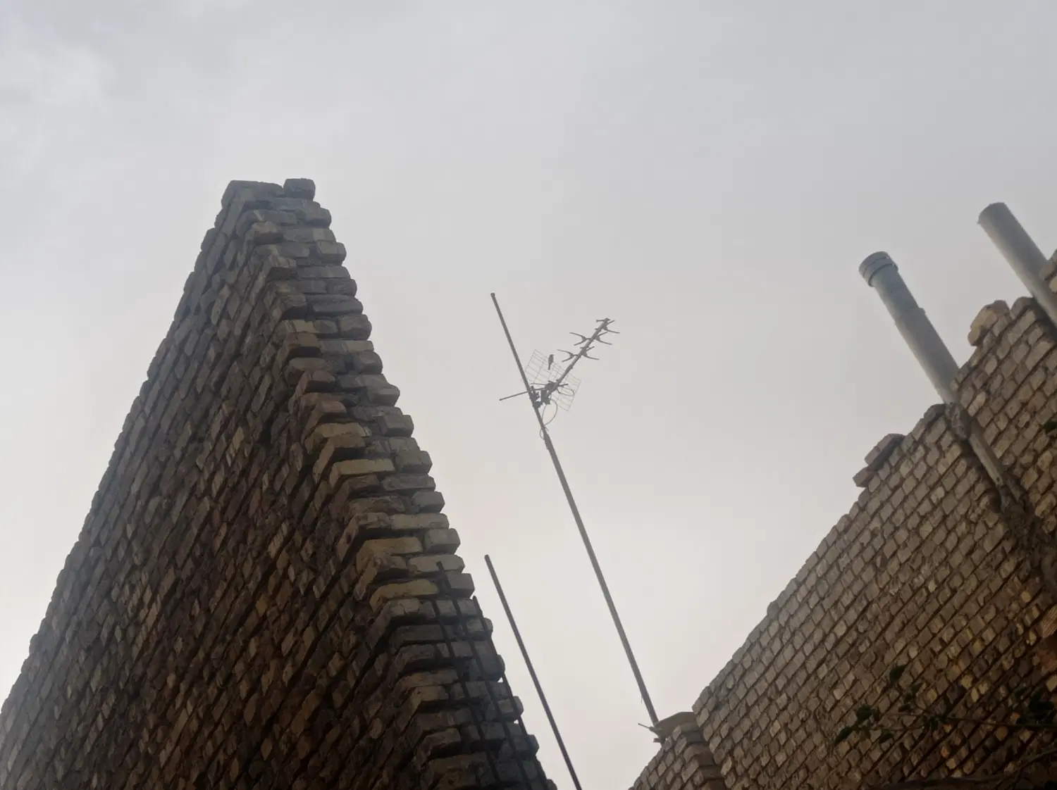 اجاره مغازه تجاری