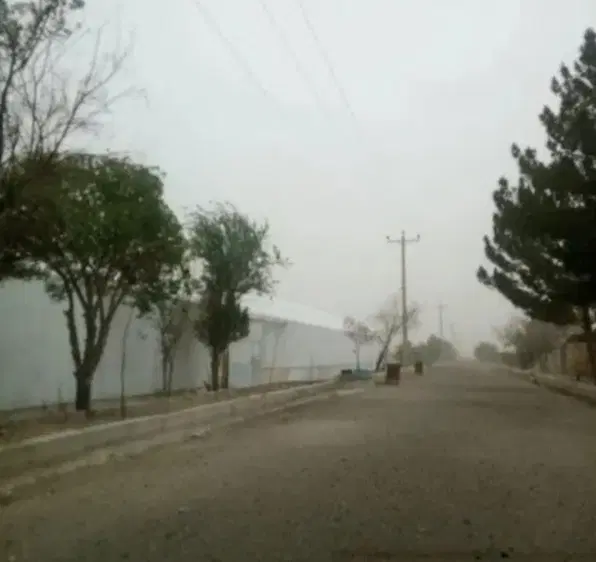 زمین باغی
