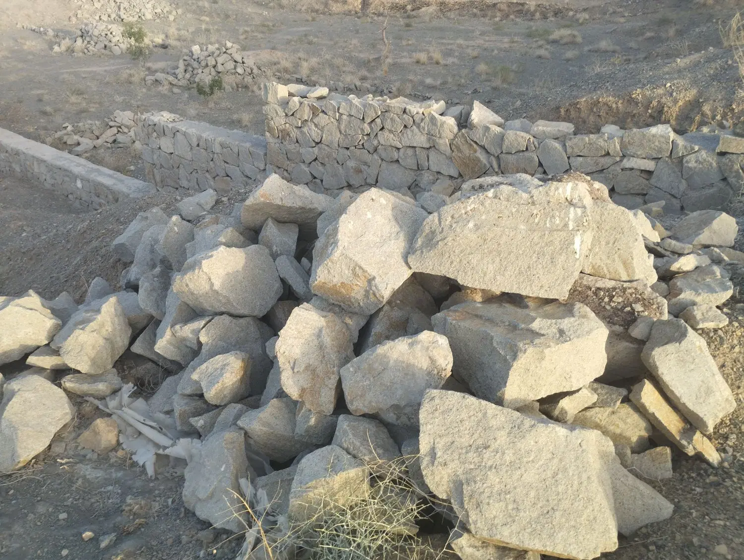 زمین