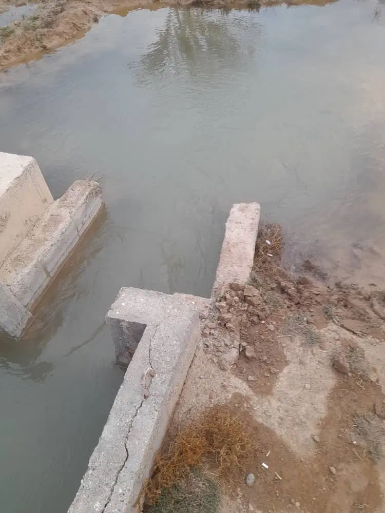 ۳۰ هکتار برای گندم اجاره