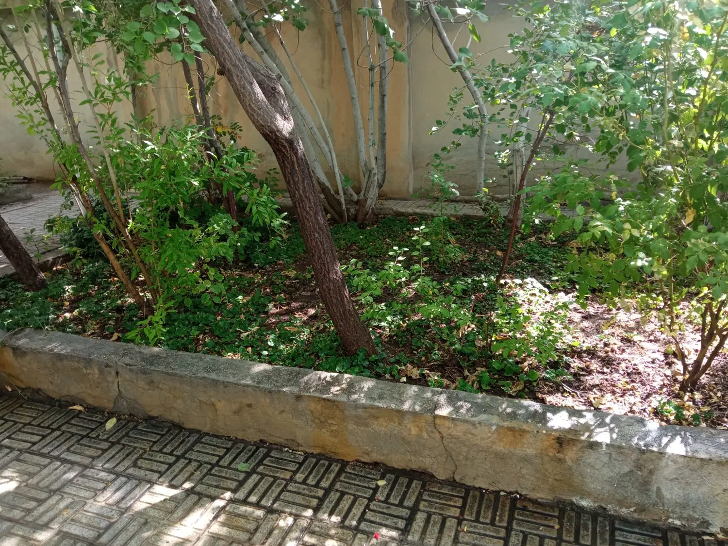خانه ویلایی ۴۰۸ متری شهرک طالقانی