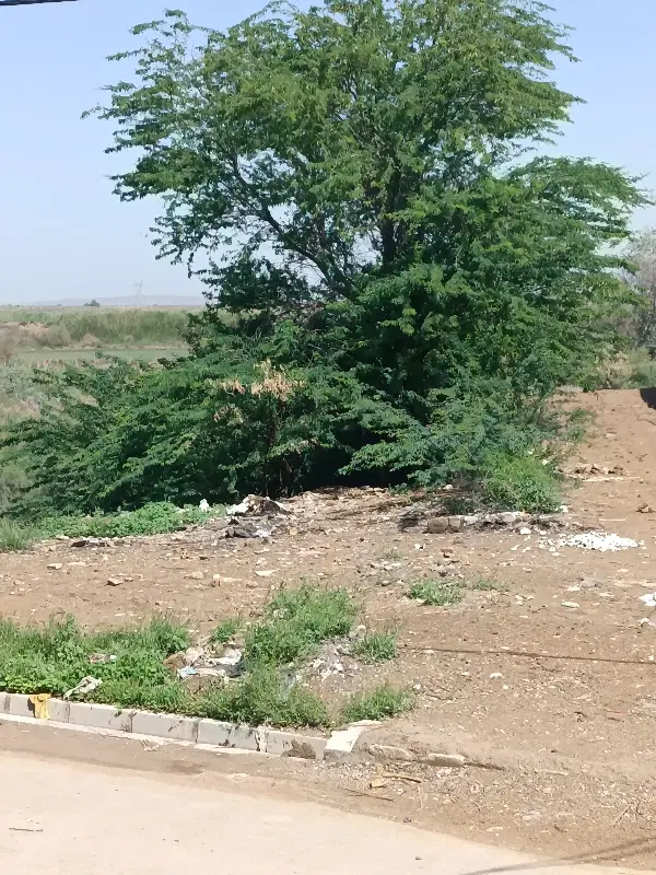 زمین تجاری مسکونی