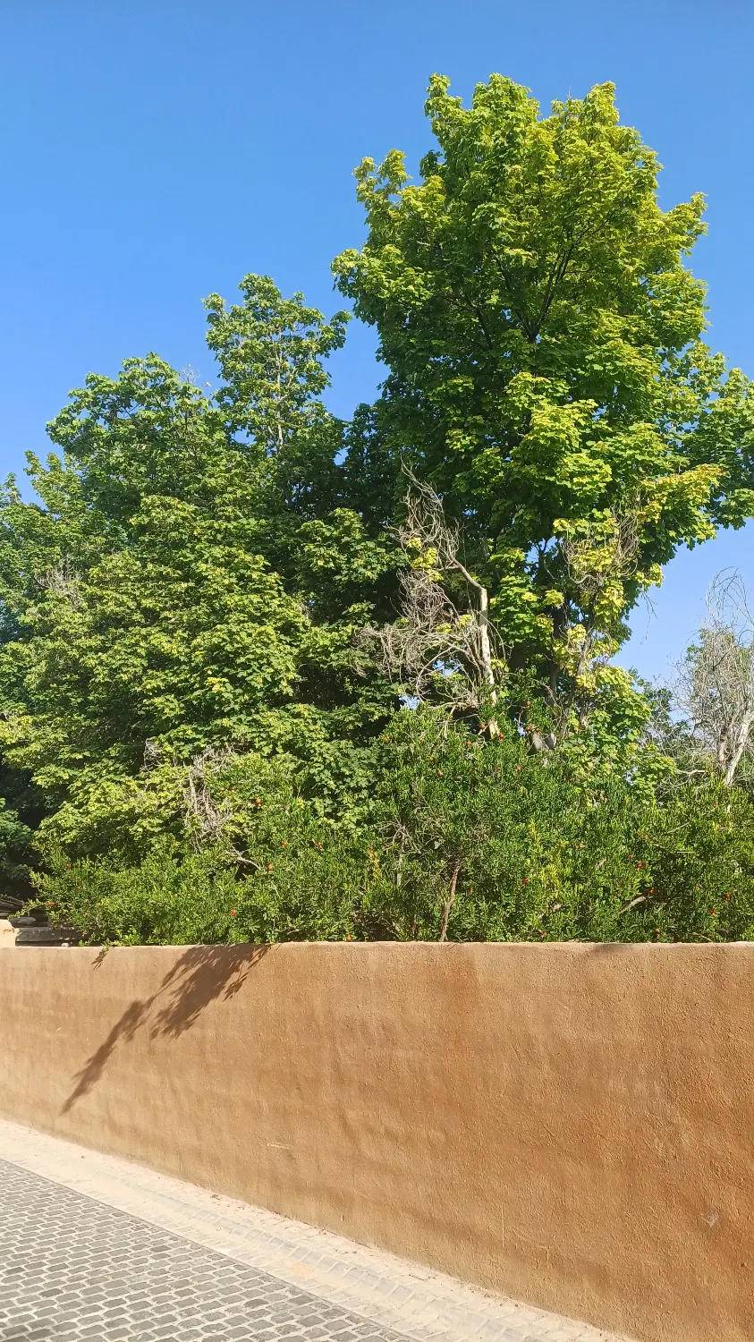 زمین باغشهری در سه راهی قره چمن