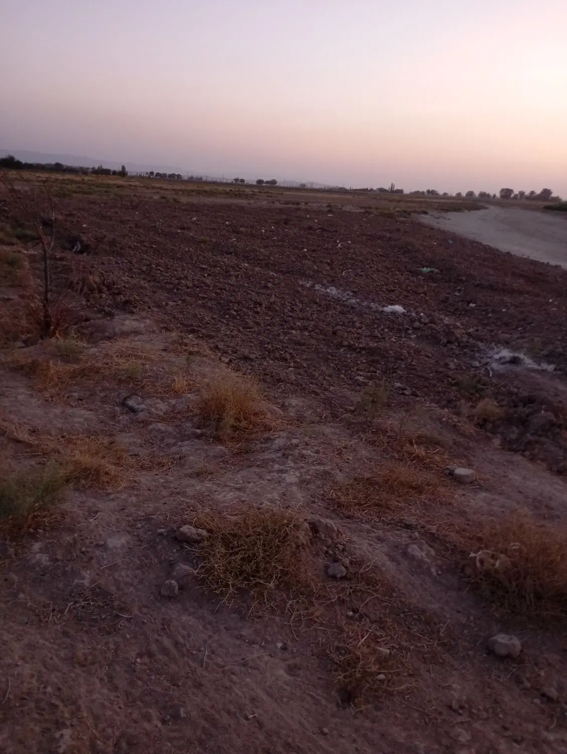 زمین.با