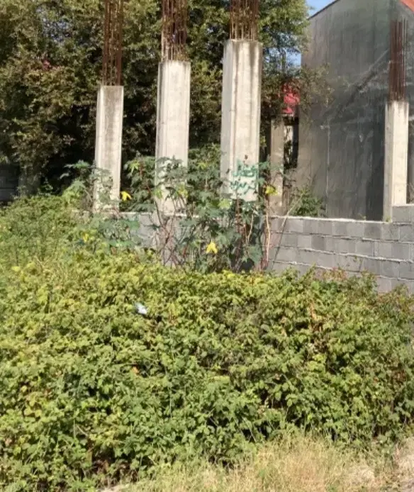 زمین  کمربندی غربی طبیعت