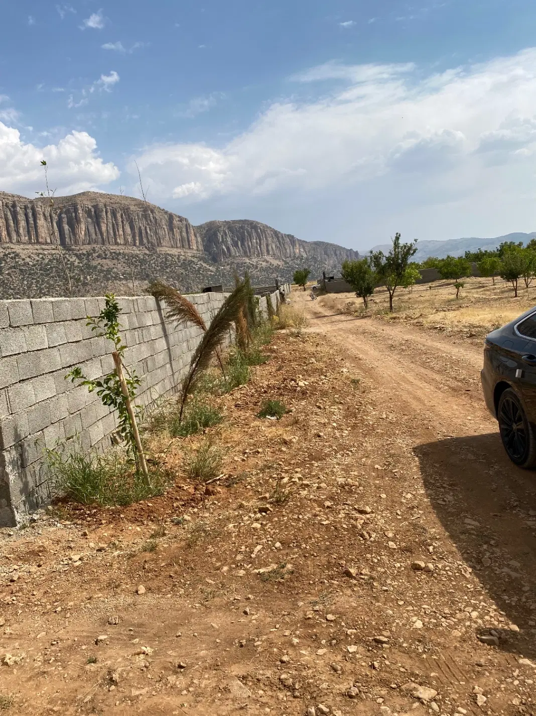 زمین باغی مجموعه دشت ارژن
