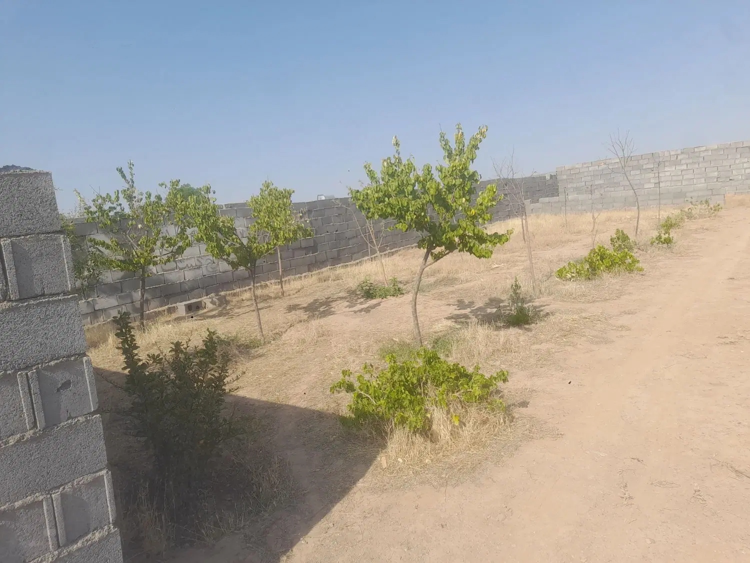 باغ ۵۰۰ متری دور دیوار فروشی