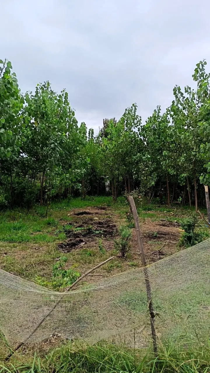 زمینهای کشاورزی