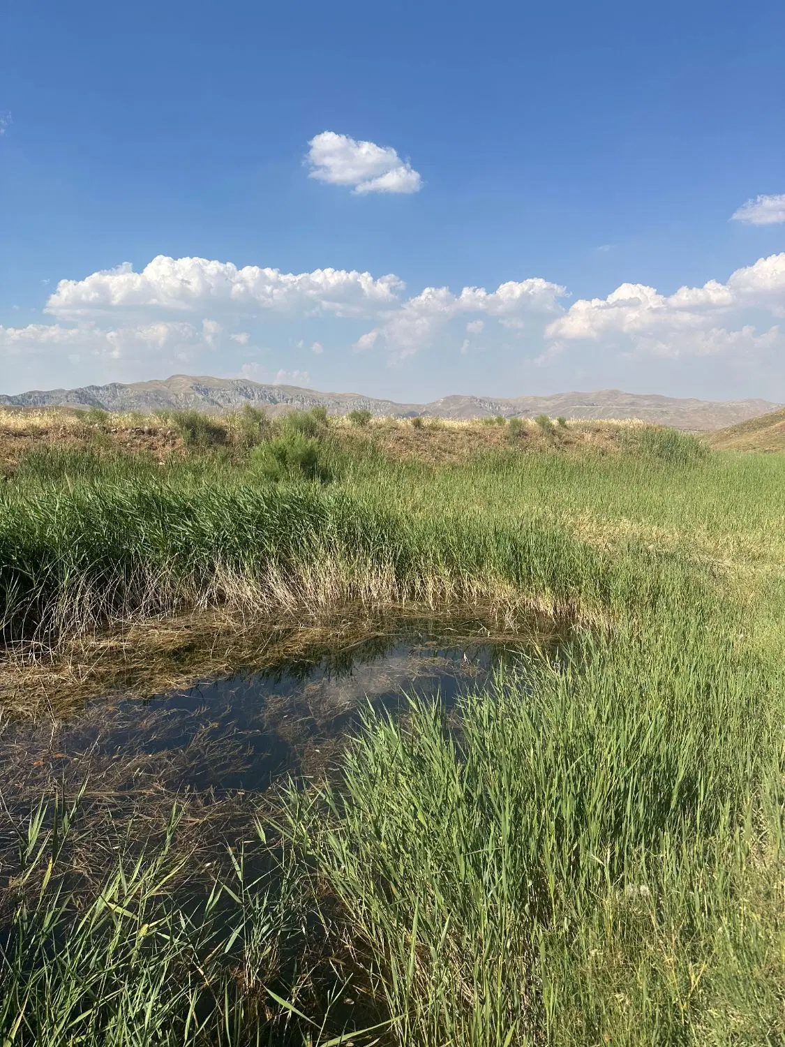 فروش زمین در سیوان مرند
