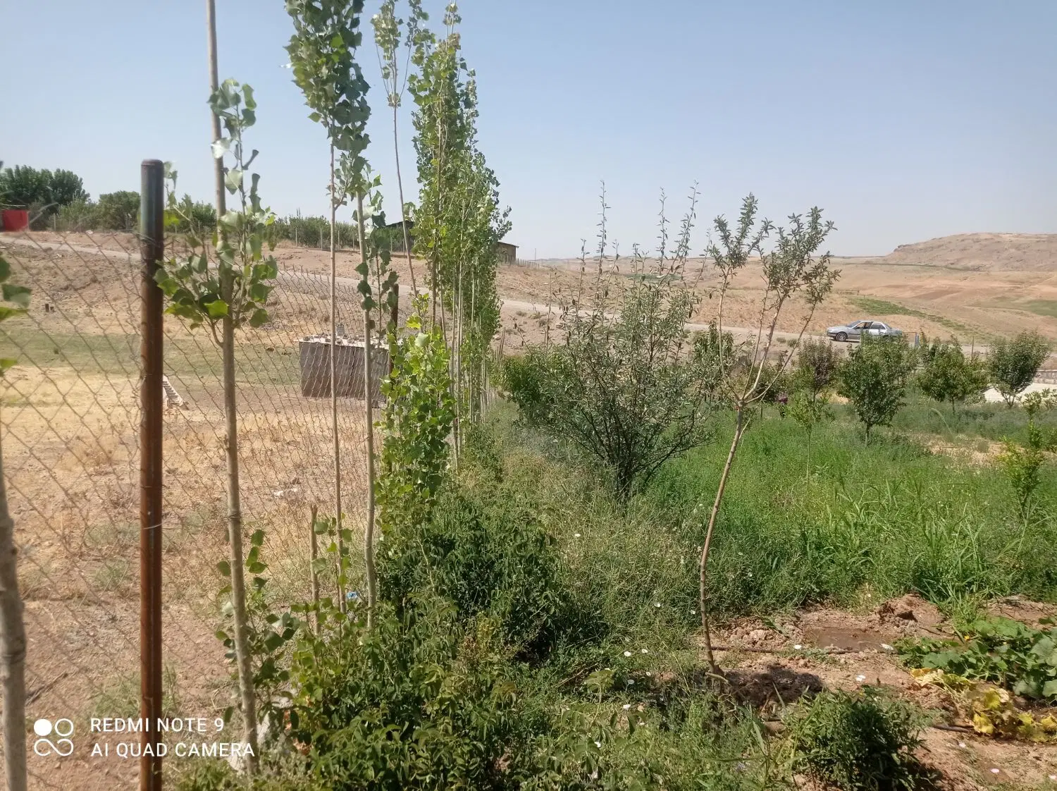خانه‌باغ