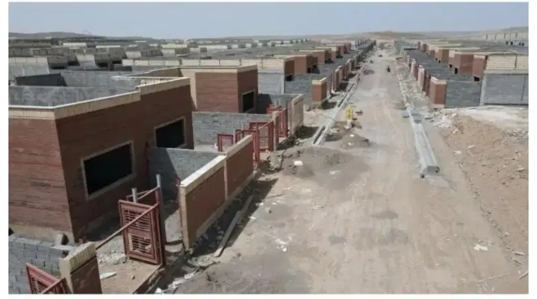 فیش مسکن زونA6