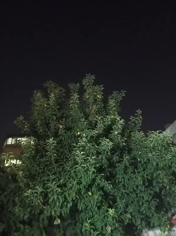 خانه ویلایی شیک  با جواز ساخت طبقه دوم