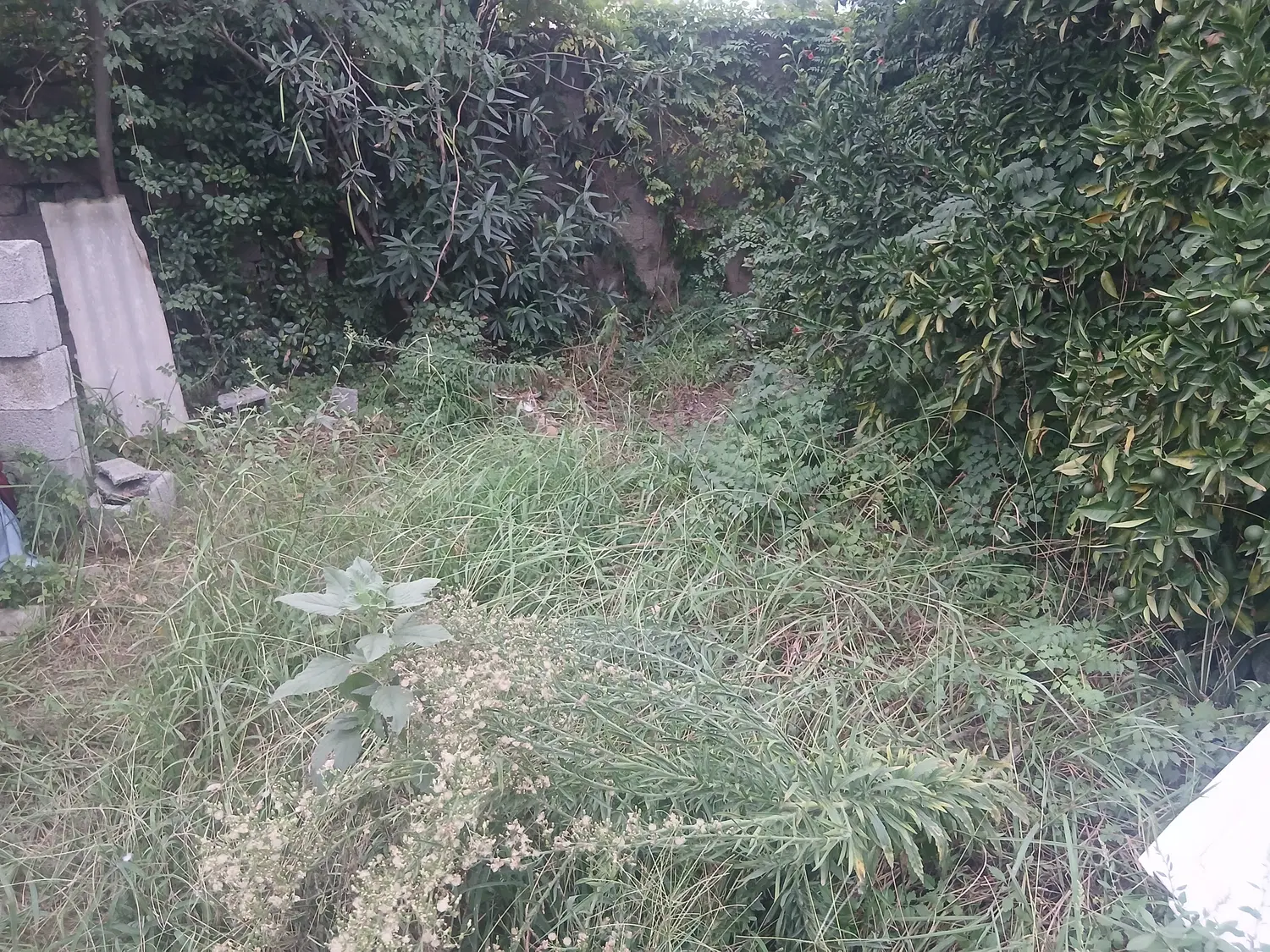 یک قطعه زمین مسکونی شهری
