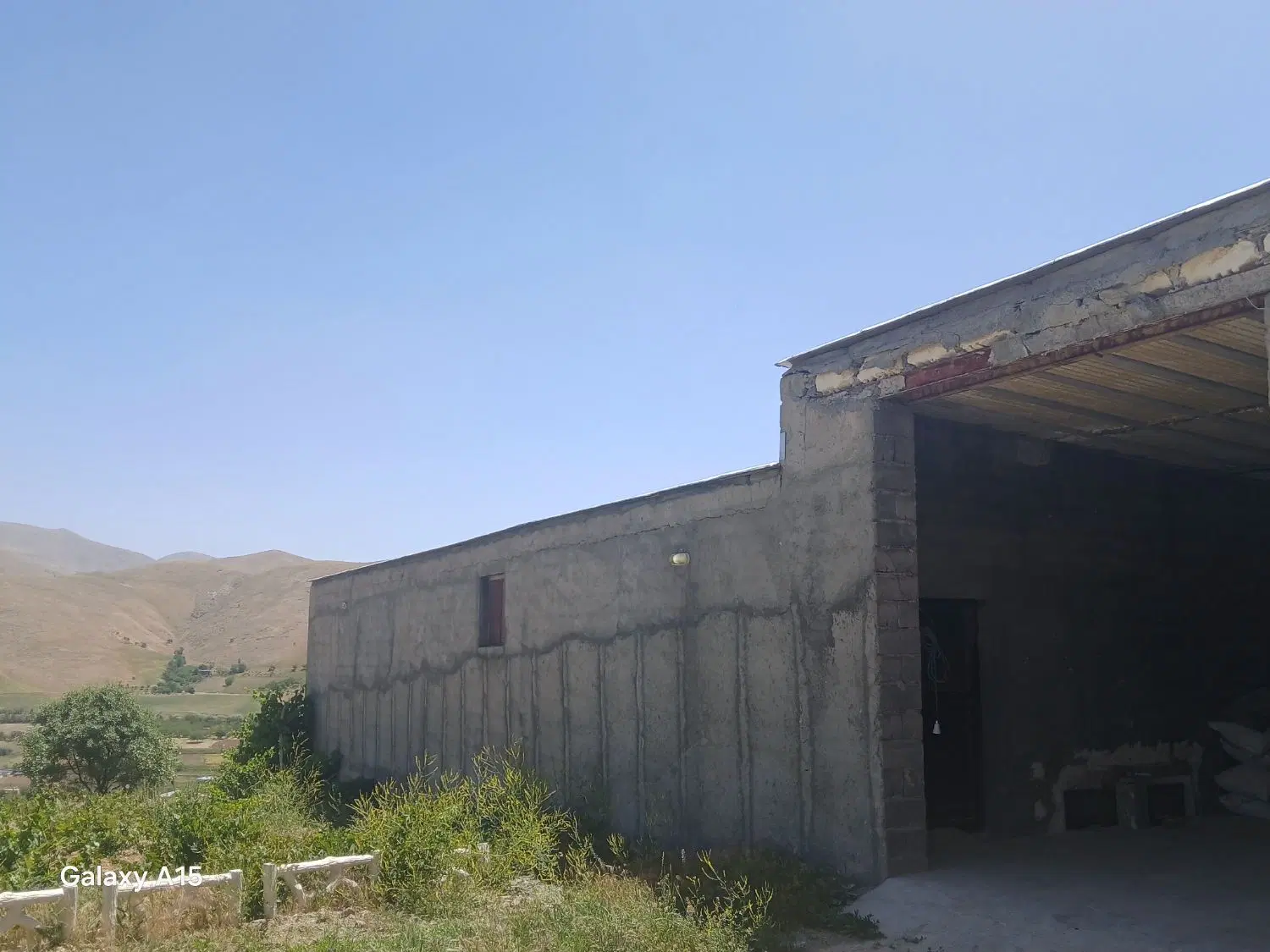 سالن دامداری و باغ