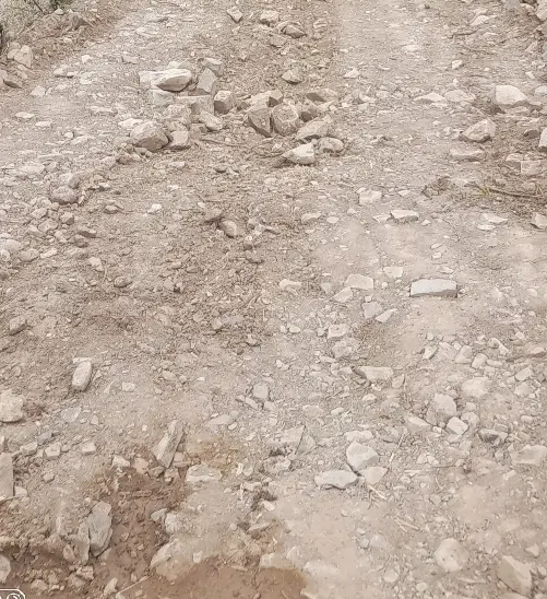 شهرک المپیک