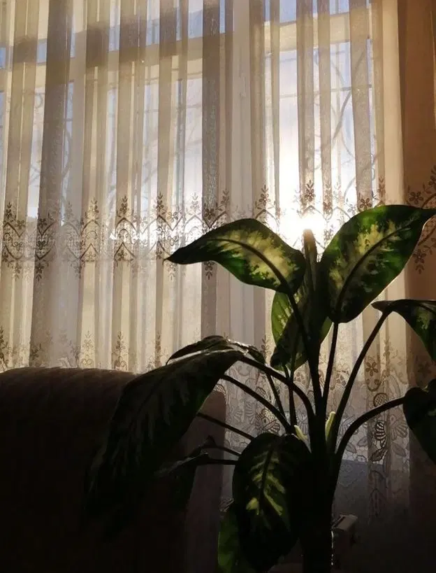 فقط املاک تماس بگیرد