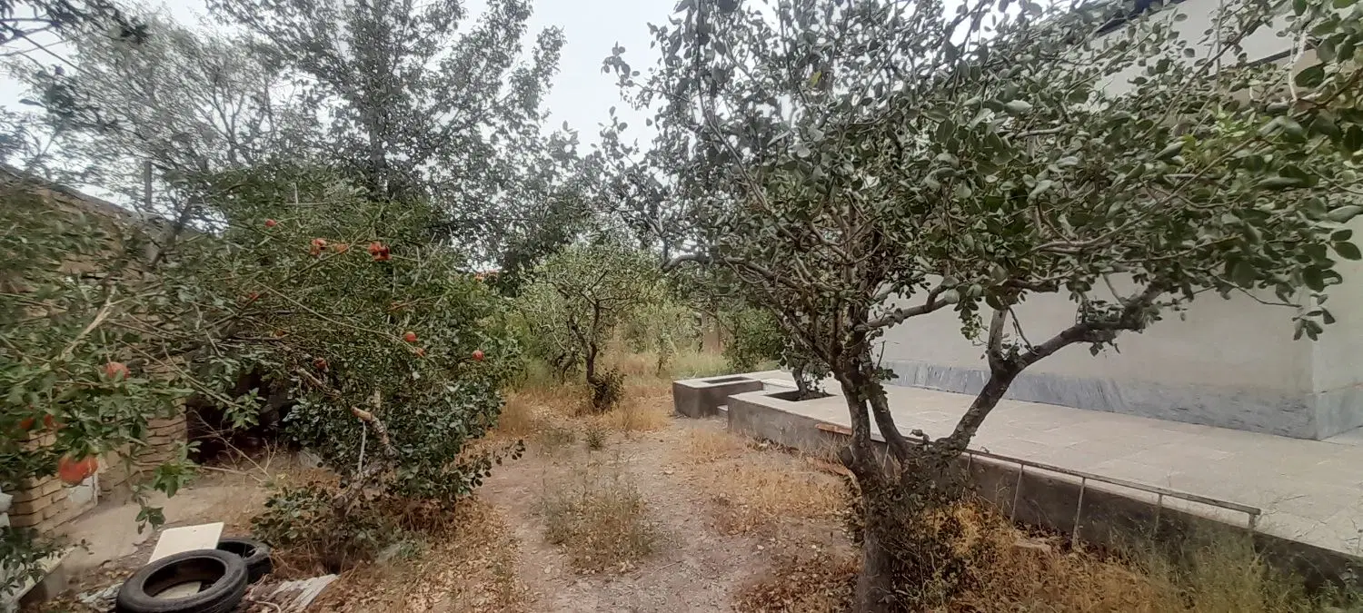 باغ ویلا