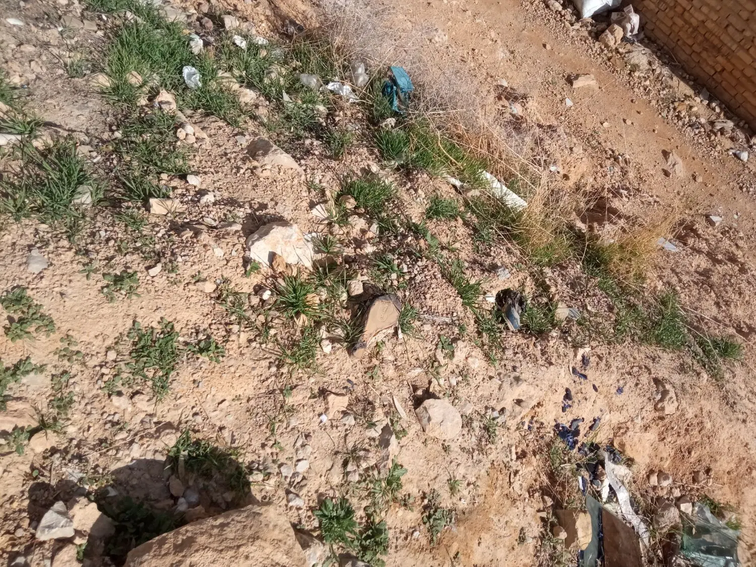 زمین.ملکی.