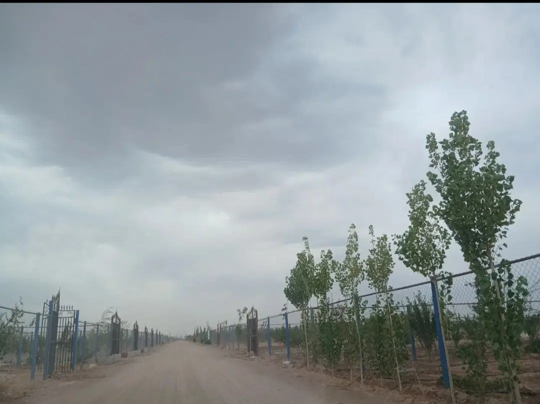 باغ۵۰۰متری