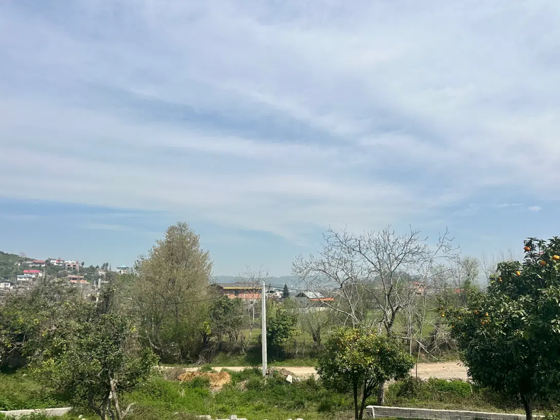 زمین ۲۵۳ متر در شیرگاه منطقه روستایی