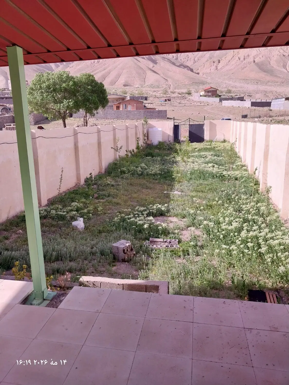 دماوند زیبا