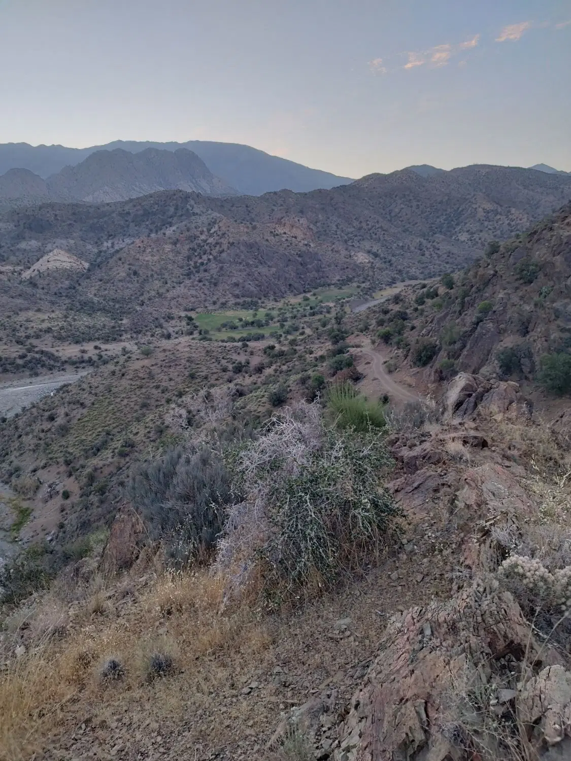 فروش زمین مسکونی ساردوئیه