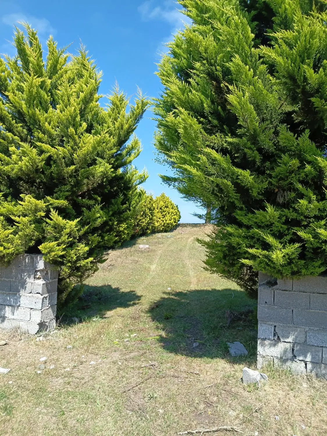 زمین ساحلی پلاک اول ابدی