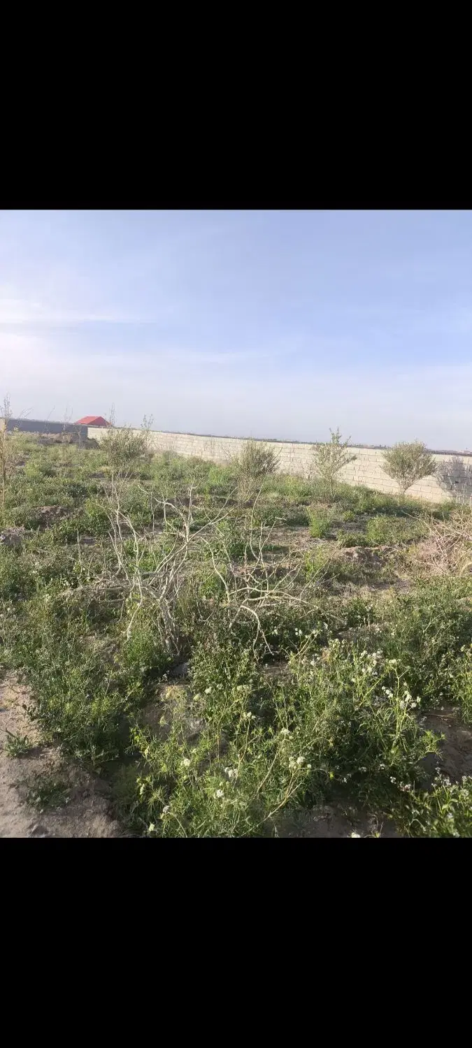 زمین خانه باغ در روستای عرب آباد