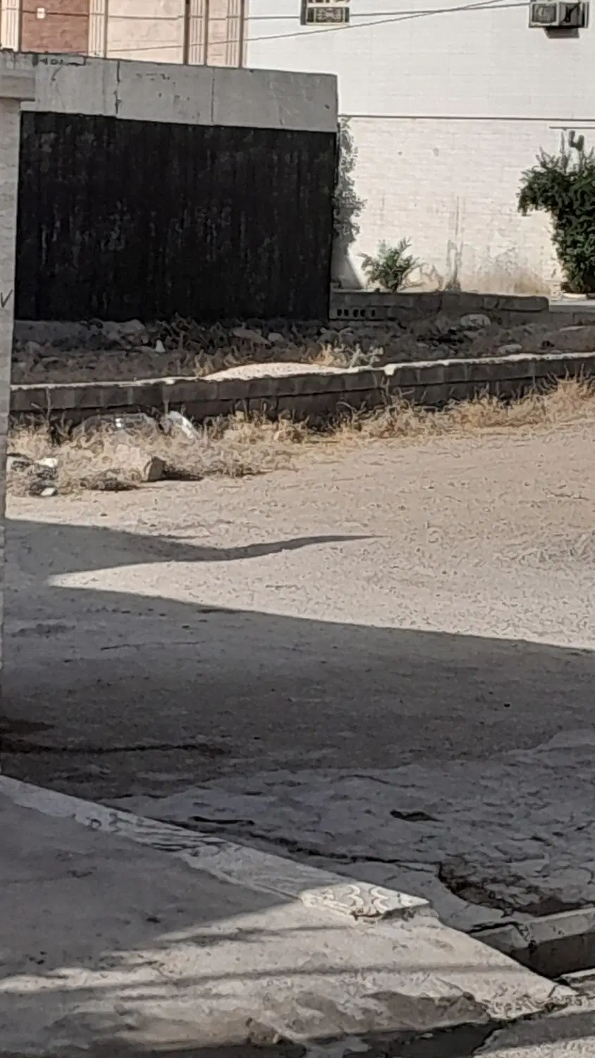 زمین مسکونی سند تک برگ و پروانه سه طبقه