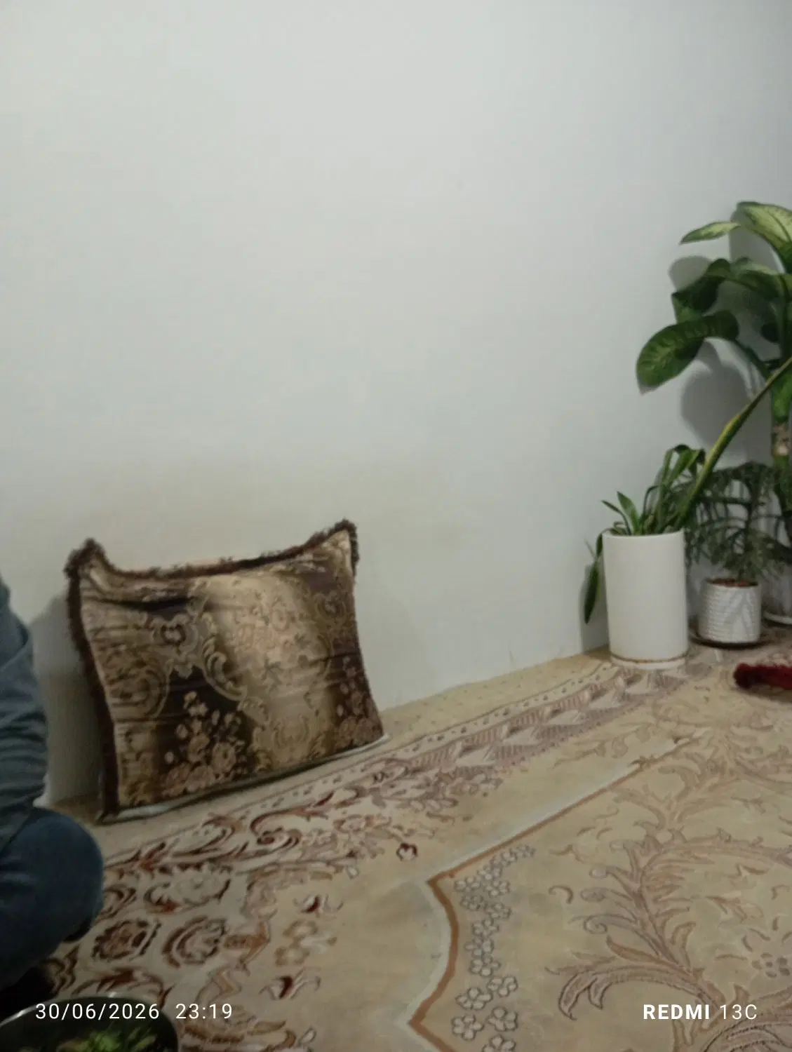 رهن منزل ویلایی