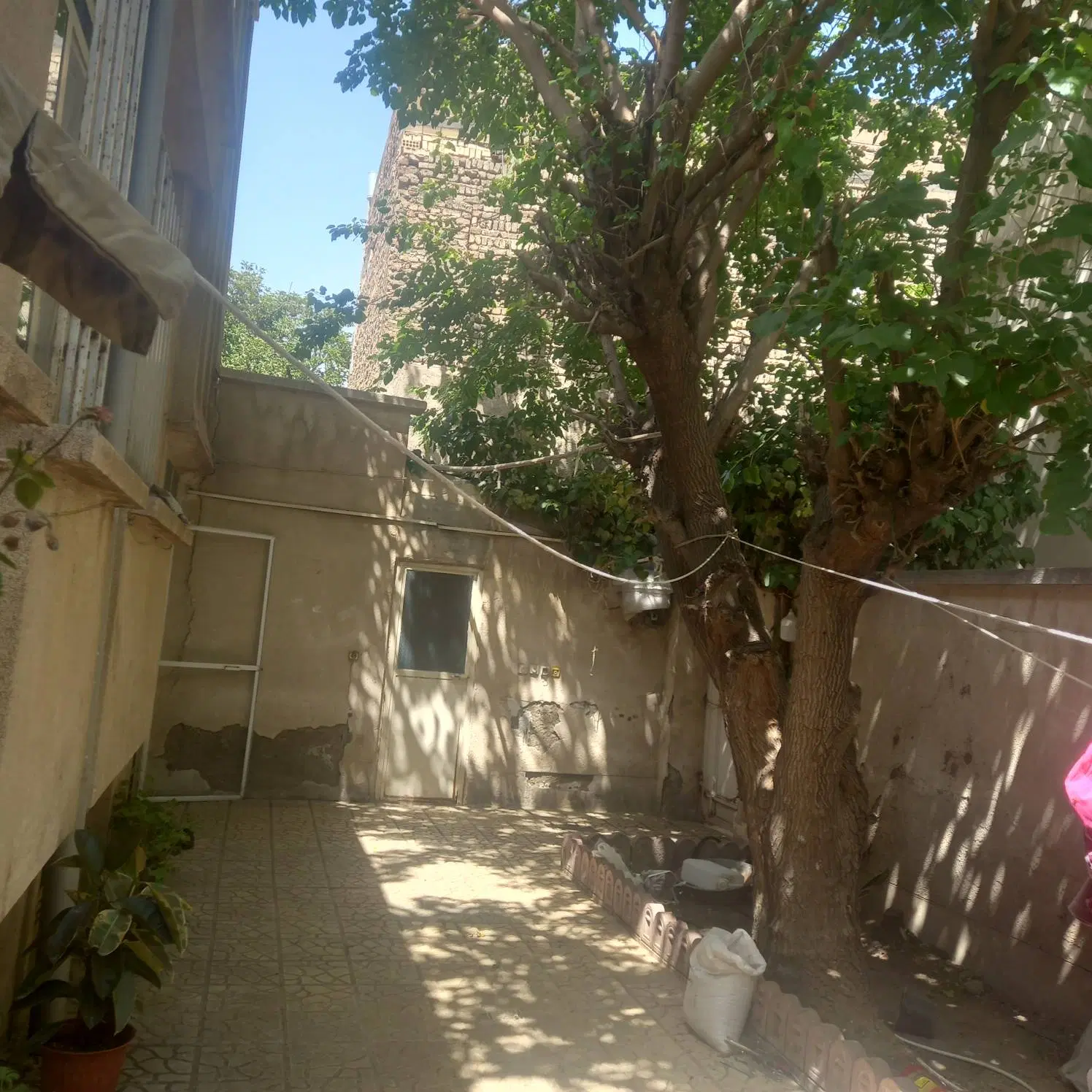 مسکن