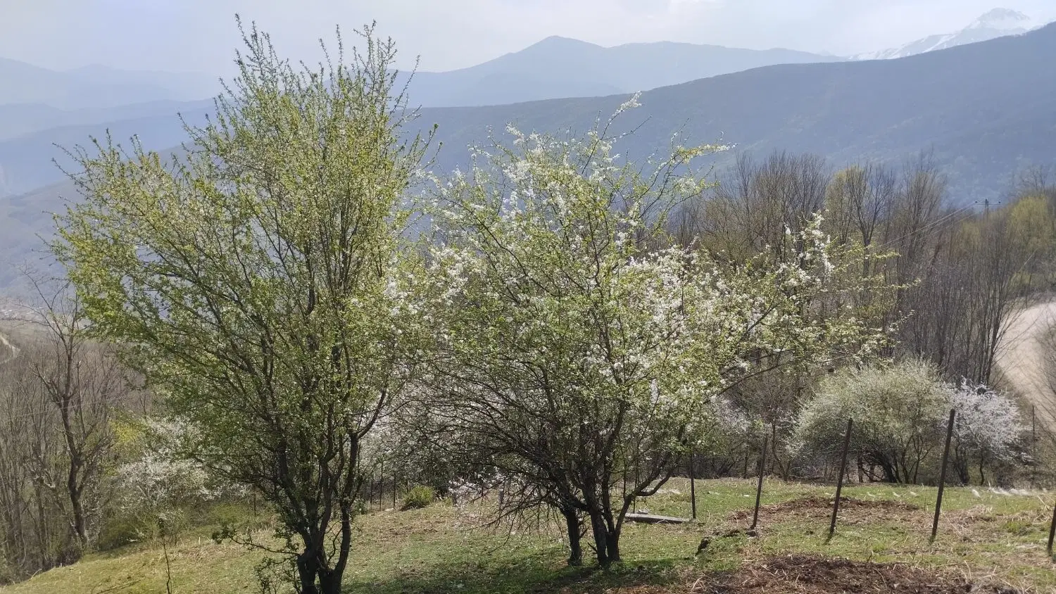 فروش زمین به مساحت ۳۳۹۰متر مربع