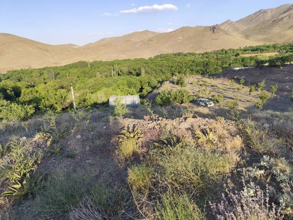 باغ در روستای کهندان  بخش قاهان