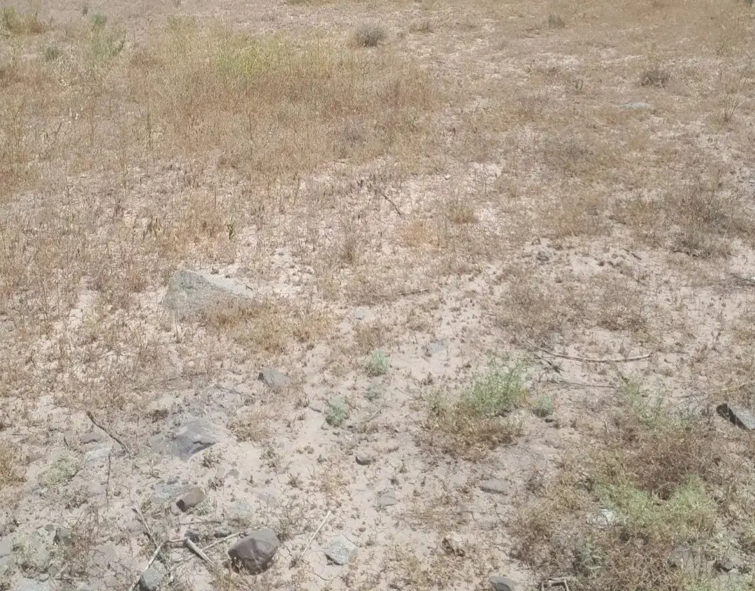 فلاورجان فروش زمین مسکونی