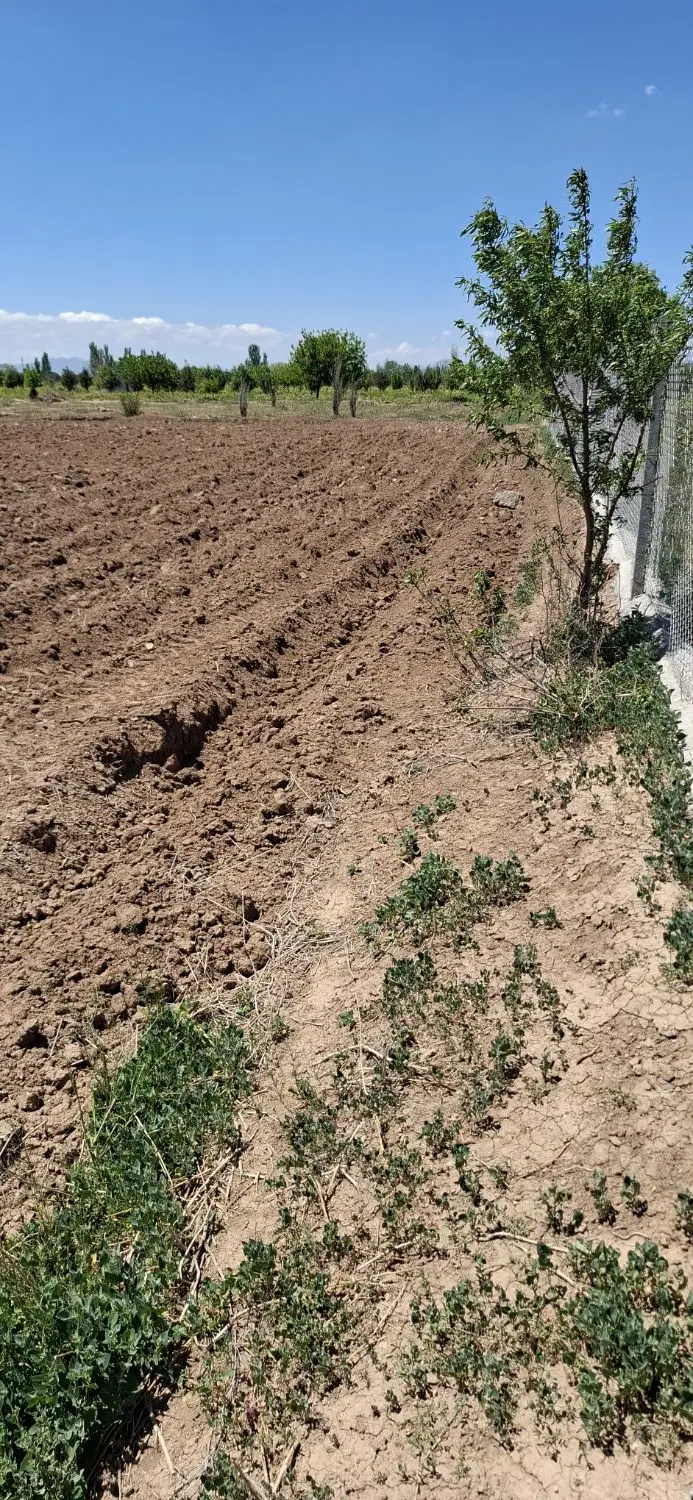 زمین کشاورزی