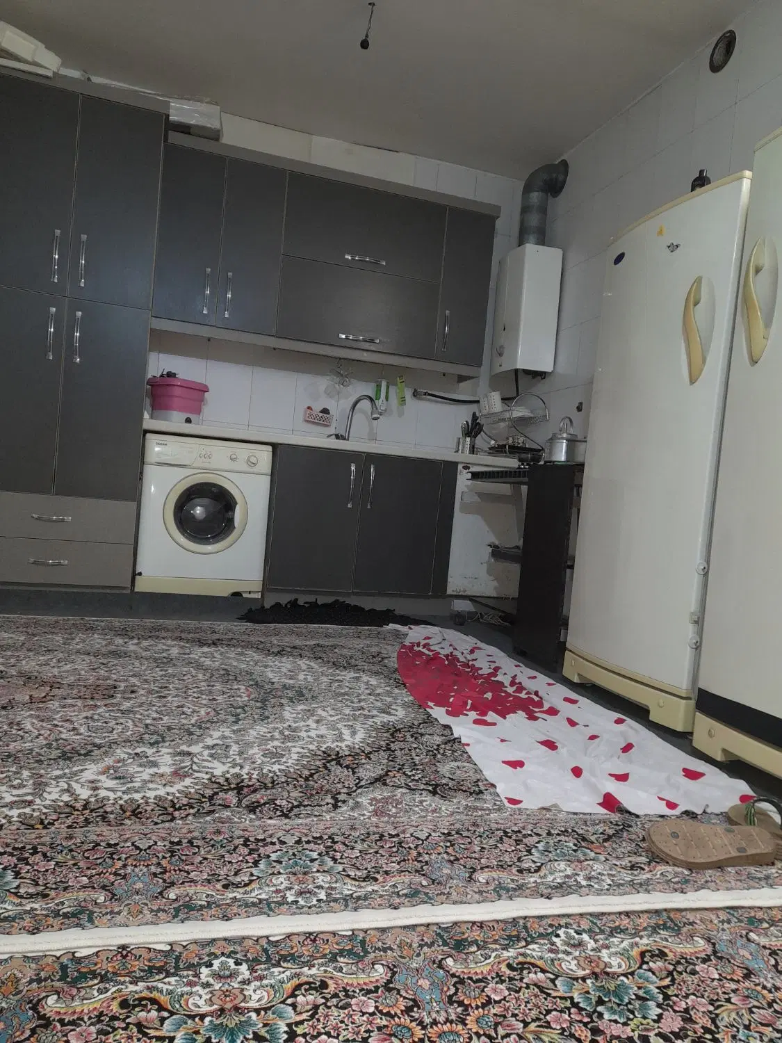 یه یه نفر همخونه نیاز دارم