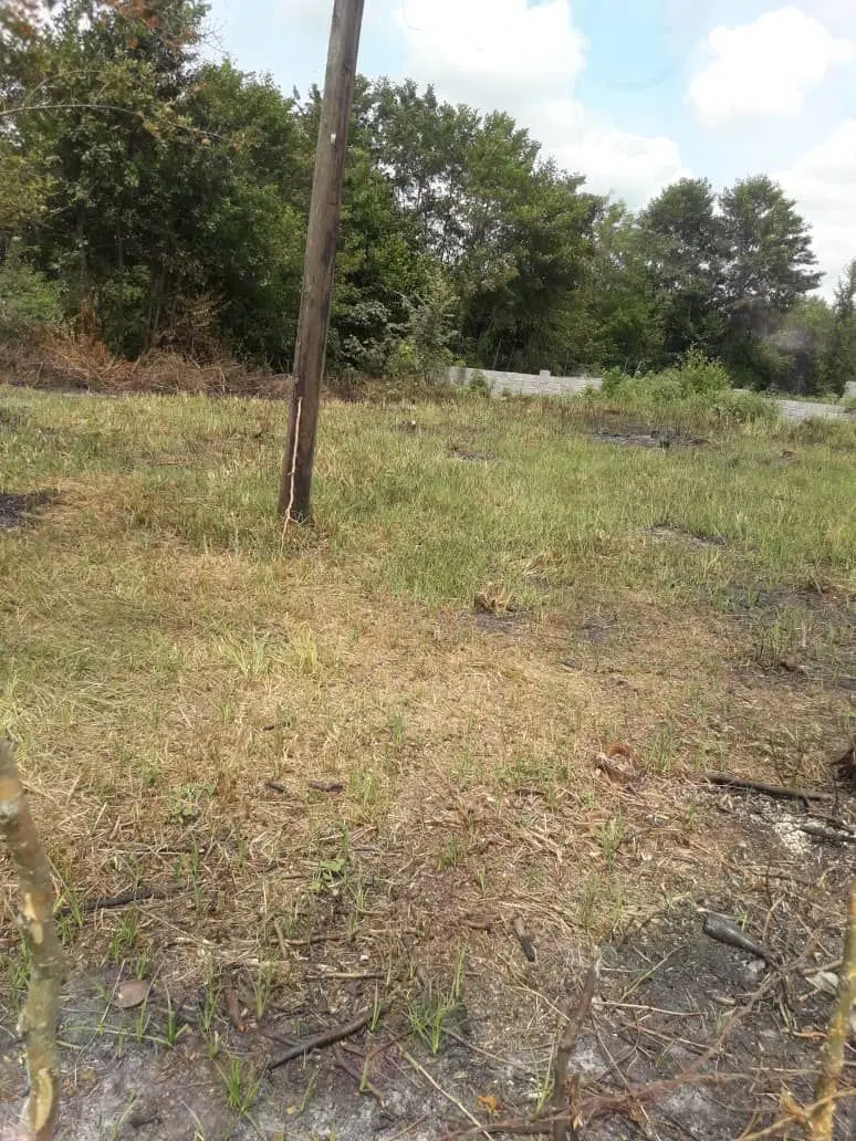 زمین باغی
