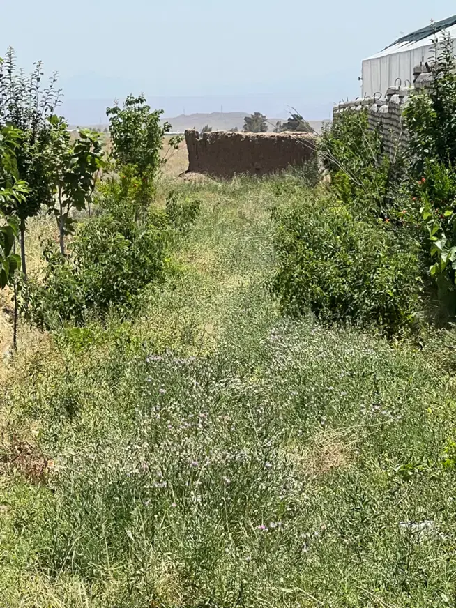 زمین با پروانه و بر جاده متراژ مختلف اقساط معاوضه