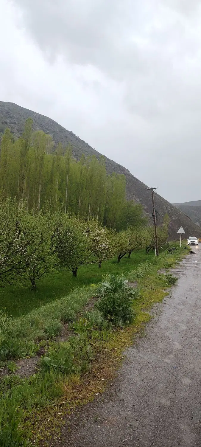باغ کنار جاده فروش یا معاوضه با آپارتمان در رشت