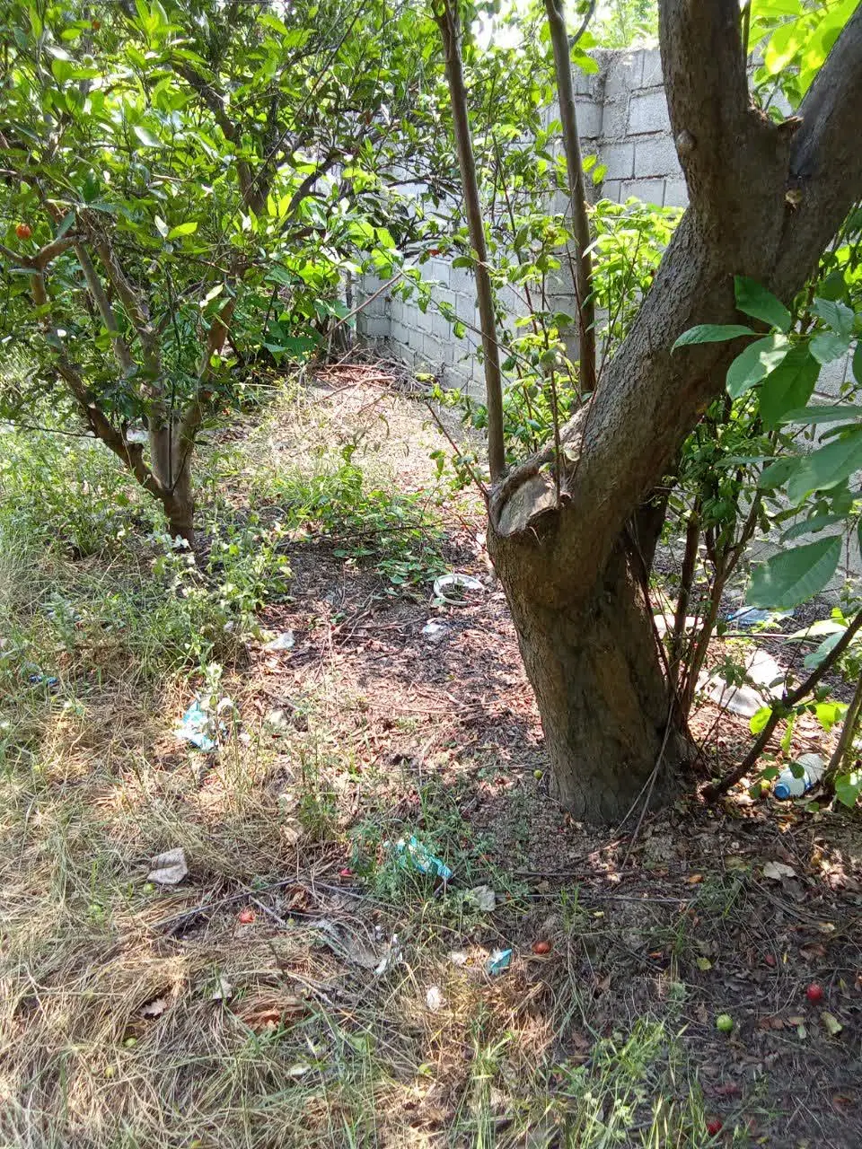 زمین ، بوم گردی