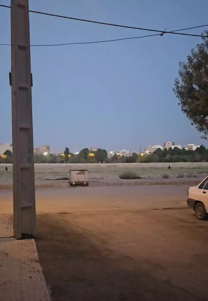 همکف