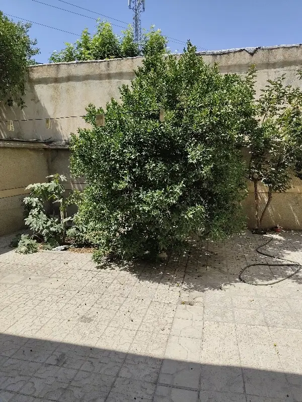 خانه ویلایی درب ساختمان قدیمی