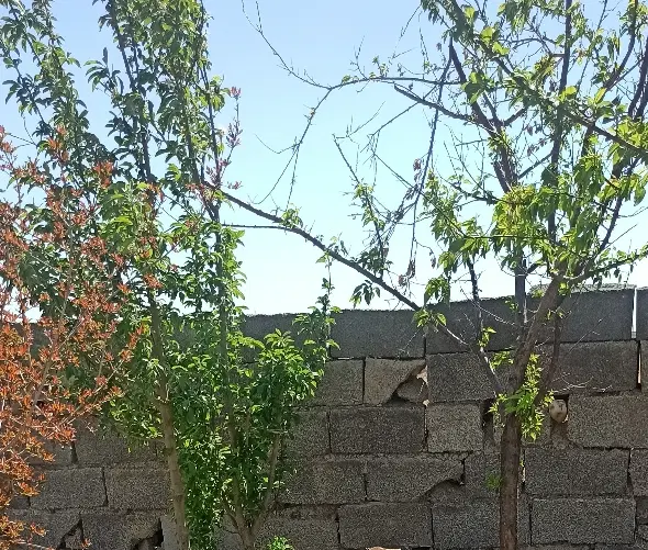 ۷۰۰مترزمین باغی بین فرودگاه امام و تهران