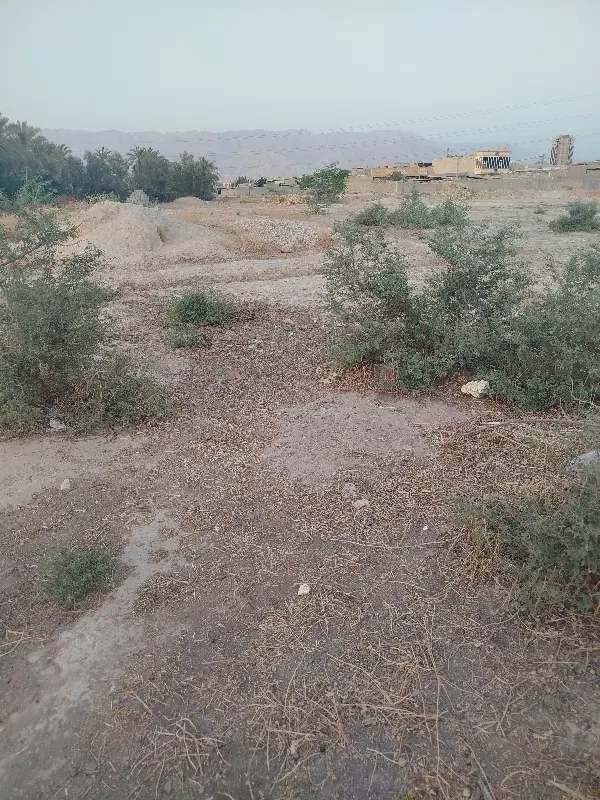 زمین 69هکتاری