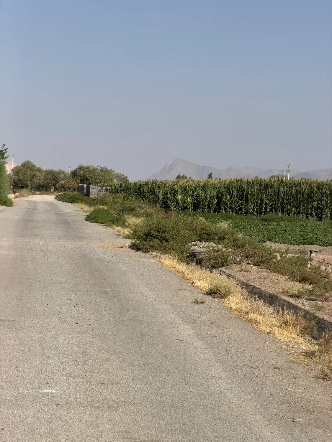 چهار دیواری شیدان