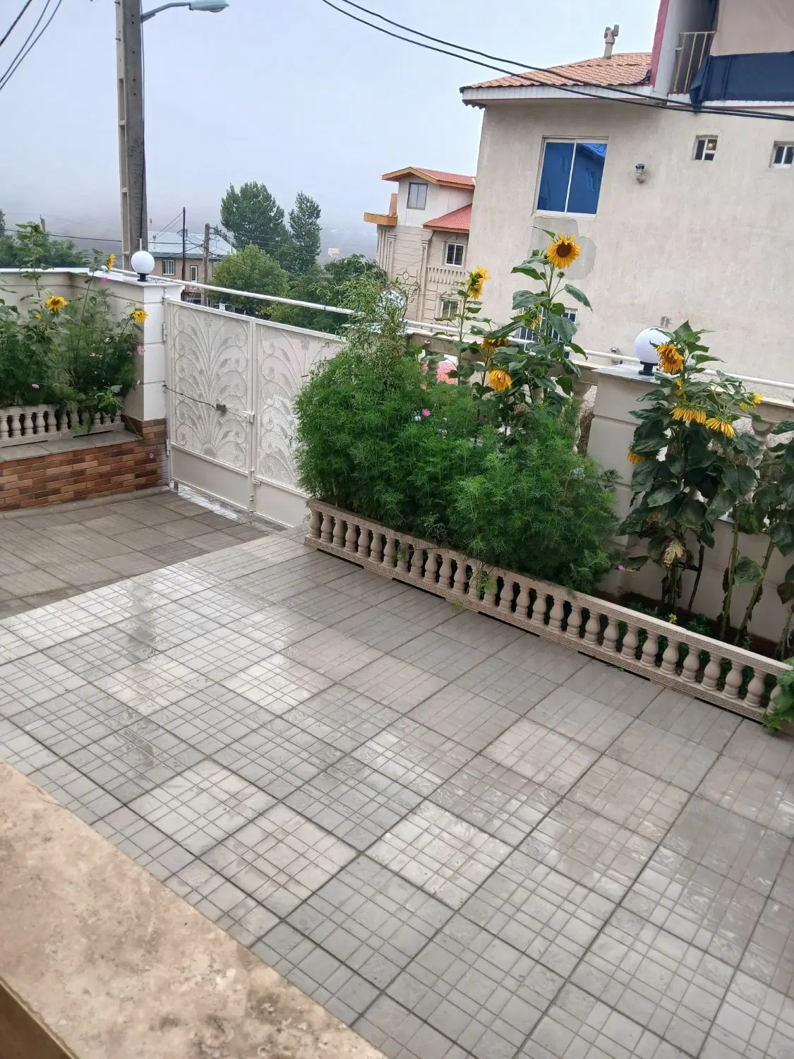 ویلا اجاره ای روزانه،هفتگی، ماهانه